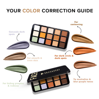 Character Pro Concealer Palette C-A302.
