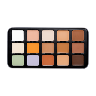 Character Pro Concealer Palette C-A302.