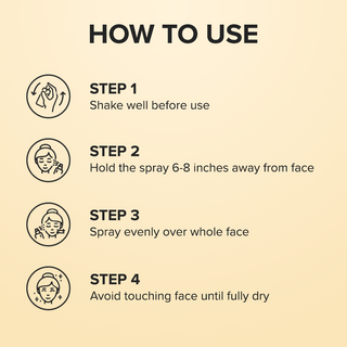 Pro Lock Setting Spray